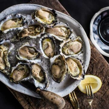 Oyster photoshoot by Damien Ford